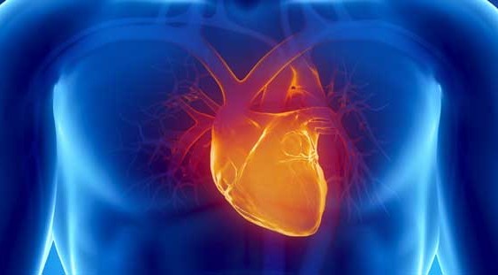 Advanced Heart Failure Fellowship: How to Prepare?