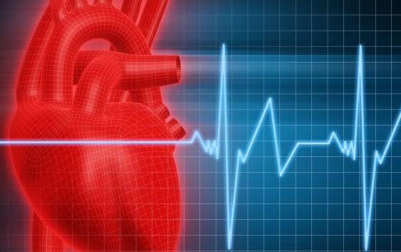 Best Preventive Cardiology Fellowship Programs