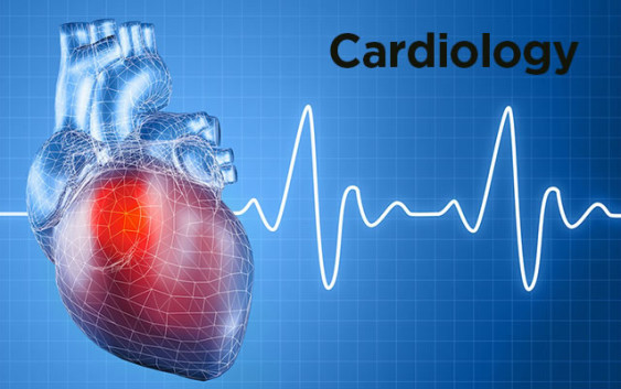 15 Fascinating Cardiology Fellowships