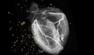 Top Cardiology Fellowship Programs Ranking