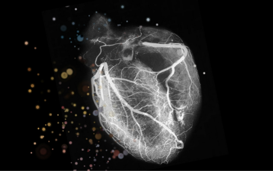 Top Cardiology Fellowship Programs Ranking