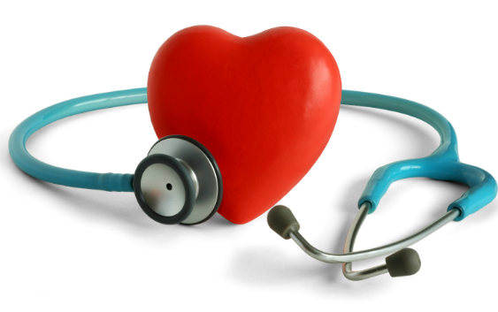 Best Cardiology Programs List